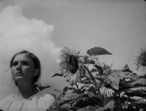 vlcsnap-2023-08-09-09h31m55s584