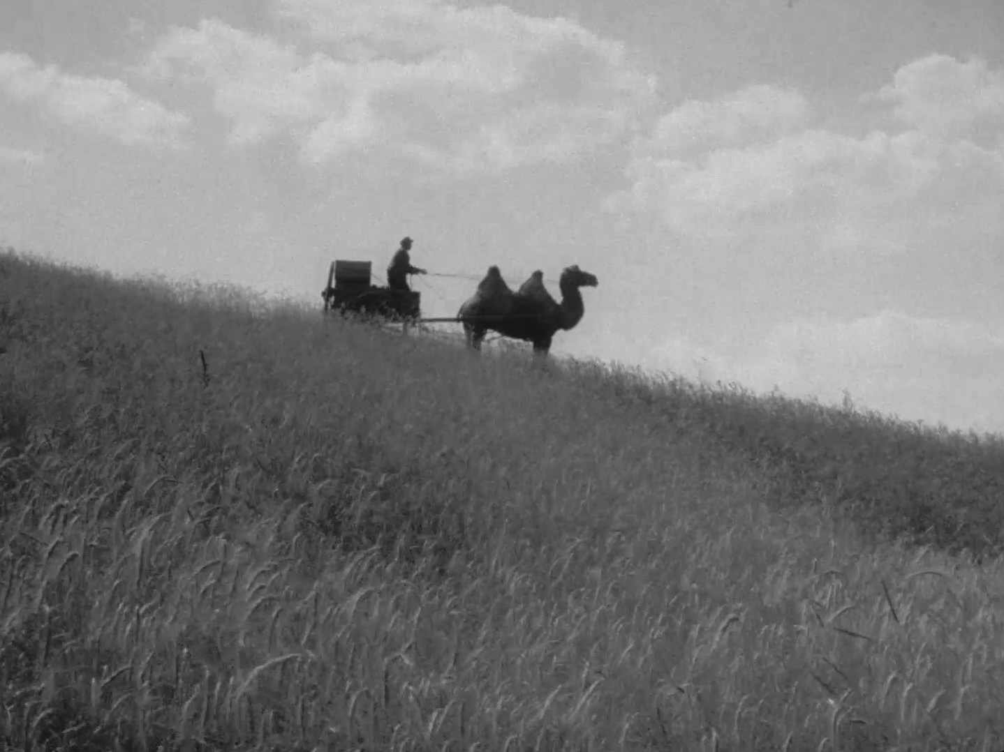 self-seeker-dovzhenko-center-online