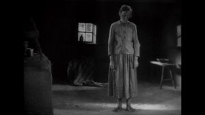 vlcsnap-2023-11-23-19h11m12s506