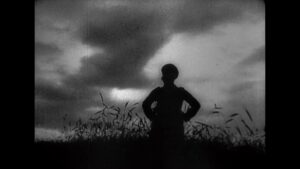 vlcsnap-2023-11-23-19h11m37s866