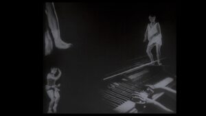 vlcsnap-2023-11-23-19h55m53s498