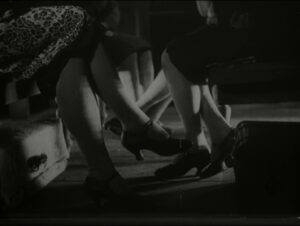 Свині завжди свині