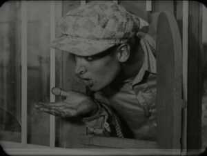 Свині завжди свині