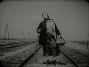 Свині завжди свині