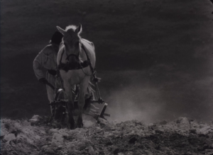 Камінний хрест