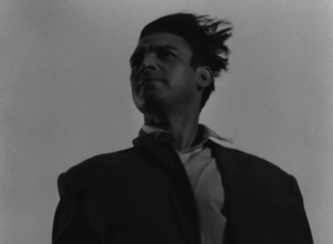 Квітка на камені