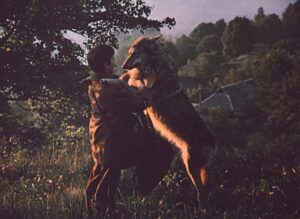 1988 - Сіроманець (Петро Марусик)_1.mp4_snapshot_00.50.12_[2024.02.03_14.35.41]