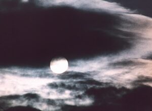 1988 - Сіроманець (Петро Марусик)_1.mp4_snapshot_01.04.49_[2024.02.03_14.31.07]