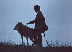 1988 - Сіроманець (Петро Марусик)_1.mp4_snapshot_01.05.23_[2024.02.03_14.30.13]