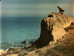 taras-shevchenko-1951-6