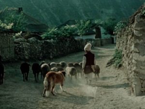 photo_2025-07-16_14-50-07 (2)