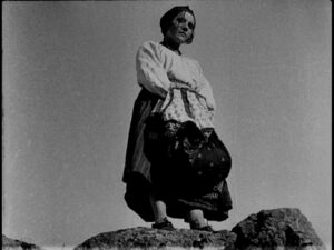 Василина (17) (1)