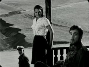 Короткі зустрічі (8)