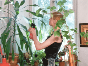 Лист до Америки (7)