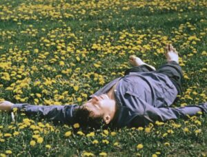 Цвітіння кульбаби (1)