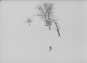 Білі хмари2 (1)