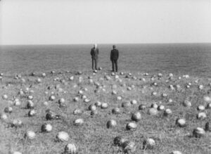 Білі хмари3 (1)