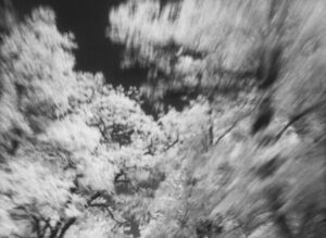 Білі хмари4 (1)