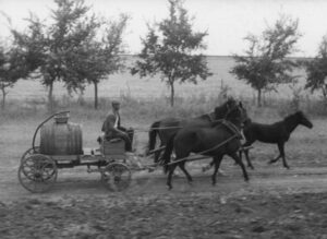 Білі хмари8 (1) (1)