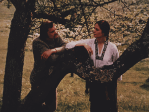 taka-piznya-taka-tepla-osin-6-1