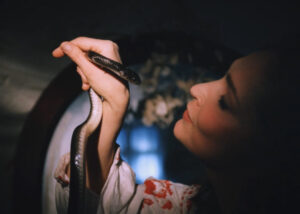 chudo_v_krayu_zabuttya4