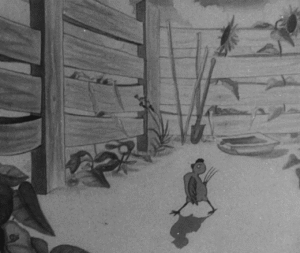 Чванливе курча_4