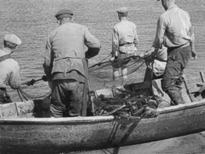 По Дніпру_10