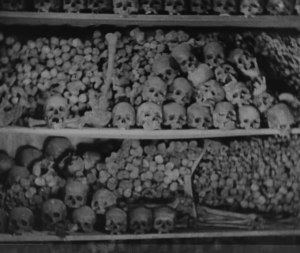 У колишньому гнізді мракобісся_5