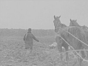 Визволення 6